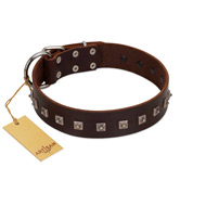 "Kingly Grace" FDT Artisan Brown Leather Amstaff Collar with Silver-like Dotted Studs "Kingly Grace" FDT Artisan Brown Leather Amstaff Collar with Silver-like Dotted Studs