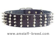 2 inch Leather Dog Collar with STUDS and SPIKES for Amstaff