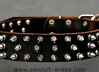 Leather Spiked Dog Collar Leather Spiked Dog Collar
