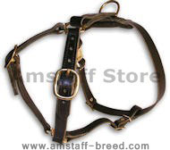 AMSTAFF Leather Dog Harness H7 for walking and tracking