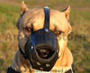 Amstaff Dog Muzzles