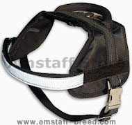 Reflective NYLON DOG HARNESS, All Weather Harness for Amstaff