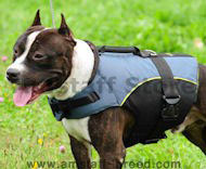 American Staffordshire Terrier Dog Coat-Dog Vest for Amstaff H13
