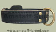 Double Layer Collar 1 3/4 inch for Amstaff