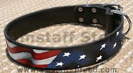 American Flag Dog Collar for Amstaff-Leather usa collar