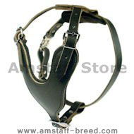 Heavy Duty Dog Harness for Amstaff