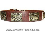 Luxury Leather Dog Collar for Amstaff