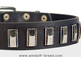 Ornament Dog Collar made of leather for Amstaff