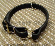 Adjustable Leather Slip Collar w/h solid BRASS Hardware Amstaff