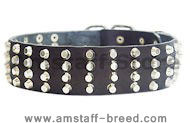 Wide Studded Leather Dog Collar-2 inch wide for Amstaff