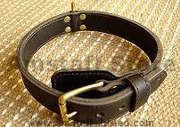 Two ply leather agitation dog collar
