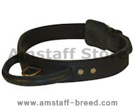 Leather Agitation Collars with Handle for Amstaff training