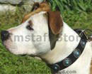 leather dog collar,walking dog collar,training dog collar