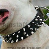 Pitbull-amstaff Dog Collars
