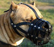 Everyday Light Weight Super Ventilation Amstaff muzzle