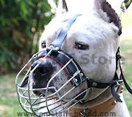 American Staffordshire Terrier Wire Basket Dog Muzzles American Staffordshire Terrier Wire Basket Dog Muzzles