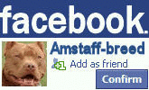 FACEBOOKE