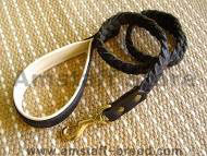 Dog Leashes