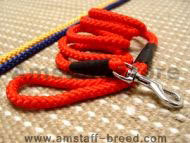 Cord nylon dog leash Cord nylon dog leash
