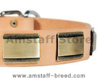 Designer Dog Collar for Amstaff-Leather Custom Collar
