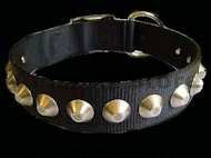 Nylon Dog Collar With Nickle Pyramids