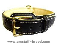 Royal Nappa Padded Hand Made Leather Dog Collar - code: C443 - Click Image to Close