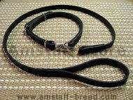 Police / hunting' dog leash and collar (combo)