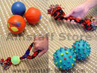Dog Toys