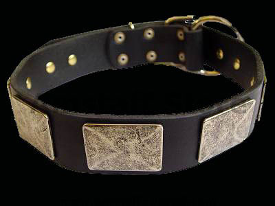 Gorgeous War Dog Leather Dog Collar  for Amstaff dog