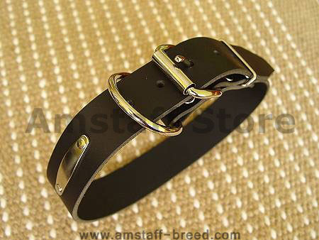 Leather dog collar with id tag  for Amstaff dog