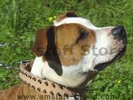 Leather Spiked Dog Collar Leather Spiked Dog Collar