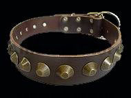 Gorgeous Wide Leather Dog Collar - Brown