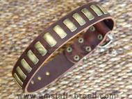Gorgeous Wide Leather Dog Collar With Plates