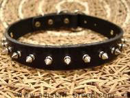 Leather Spiked Dog Collar - 1 row with Silver Spikes