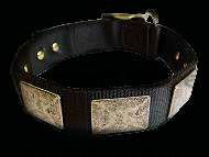 Nylon dog collars