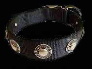 Nylon Dog collar with silver conchos
