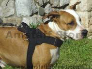All Weather dog harness for tracking/pulling-harness with handle