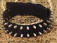 Black Nylon Spike Dog Collar- 2 Rows of spikes