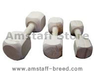 Dog Training Dumbbell.