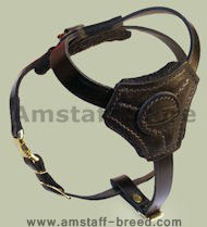 Small Leather Dog Harness for Amstaff puppy