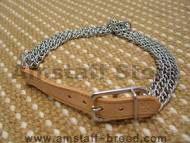 hs dog collar