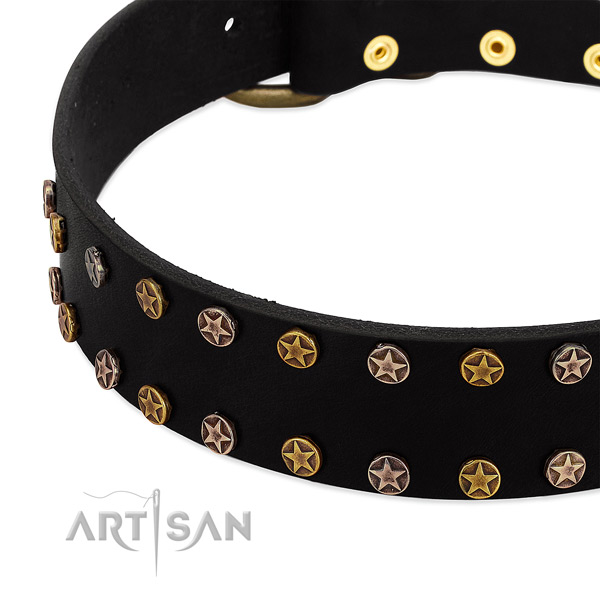Unique adornments on natural leather collar for your four-legged friend