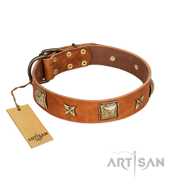 Remarkable full grain natural leather collar for your dog