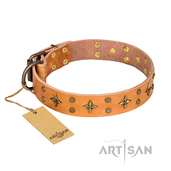 Stylish walking dog collar of top notch leather with decorations