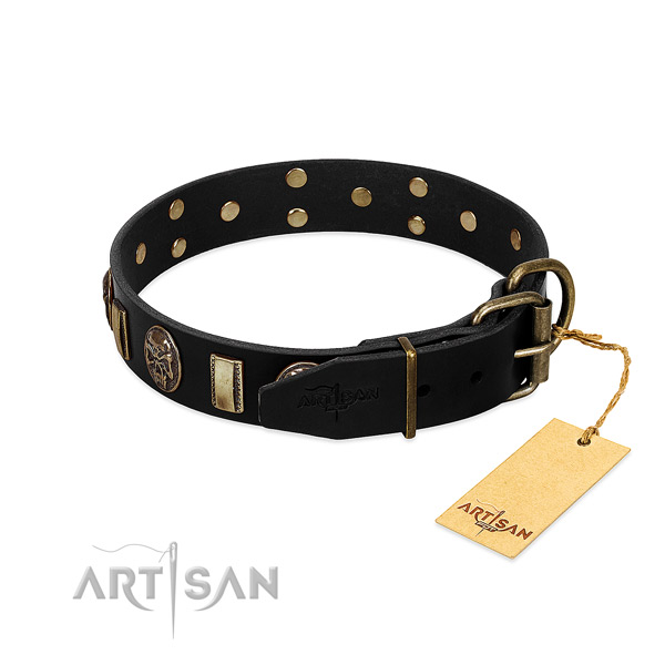 Genuine leather dog collar with rust resistant fittings and embellishments