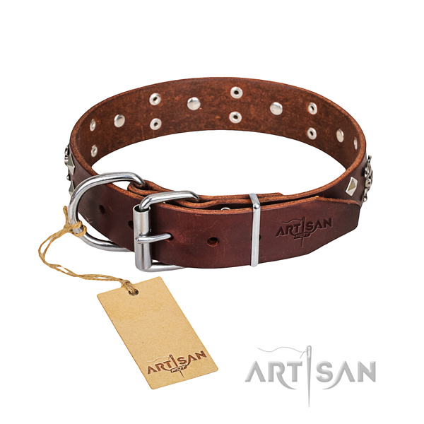 Daily walking dog collar of fine quality full grain natural leather with studs