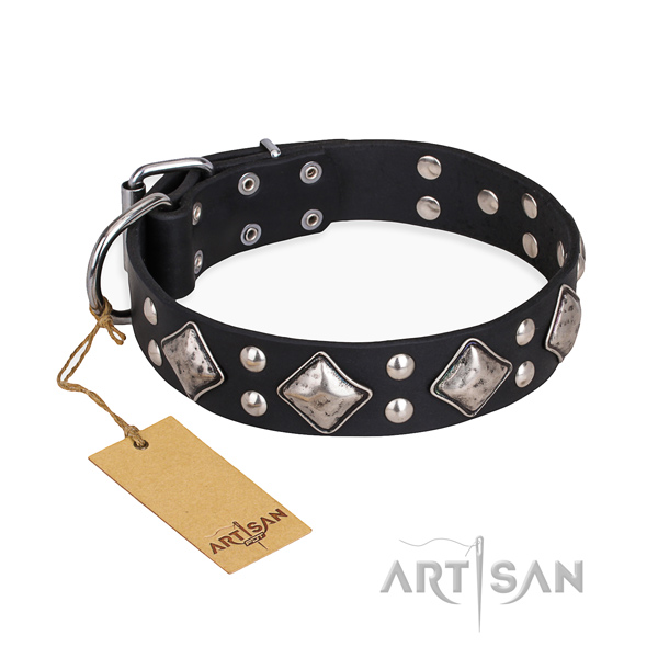 Everyday use stylish dog collar with strong D-ring