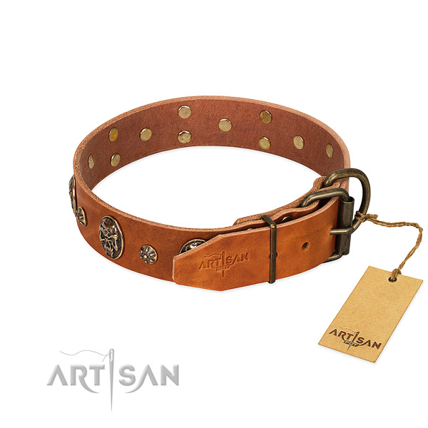 Strong embellishments on genuine leather dog collar for your four-legged friend