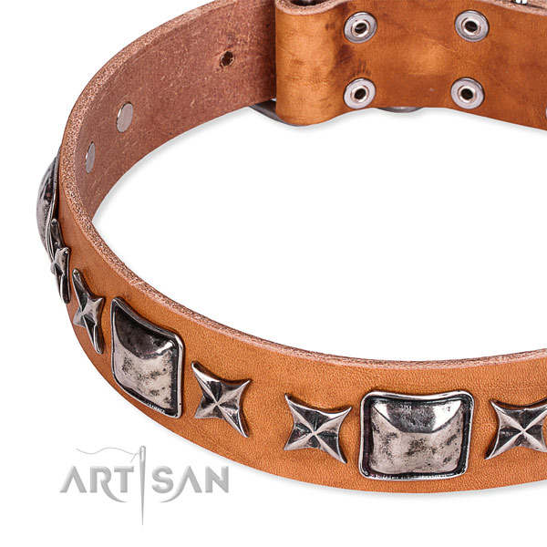 Fancy walking decorated dog collar of best quality full grain genuine leather