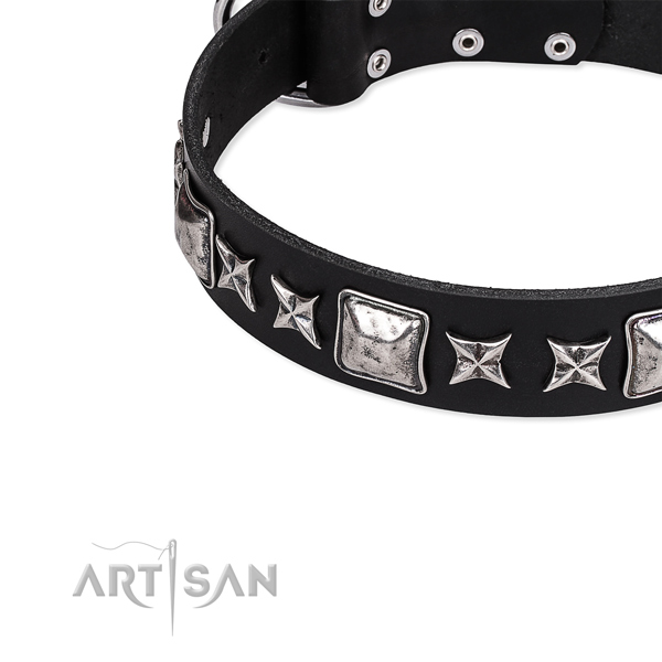 Handy use studded dog collar of reliable full grain leather